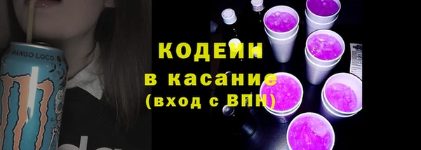 СК Няндома