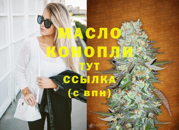 СК Няндома