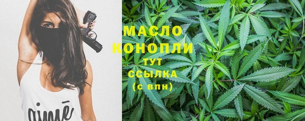 СК Няндома