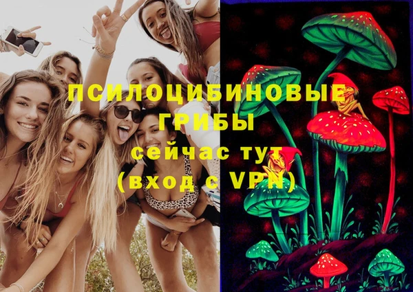 СК Няндома