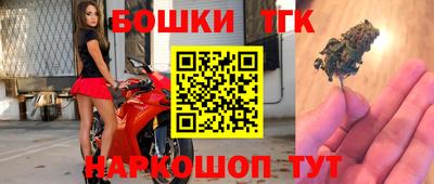 ешки Камышлов