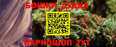 ПСИЛОЦИБИНОВЫЕ ГРИБЫ Канаш
