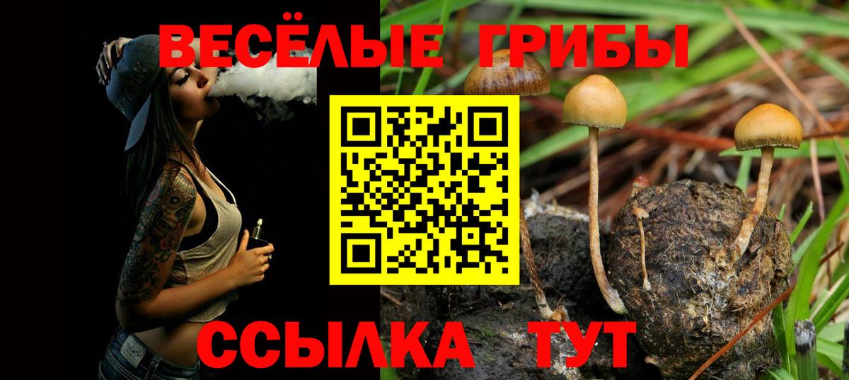 Бошки Шишки  Вход с VPN  Кокаин  Волоколамск  МЕФ  25-NBOMe  Метамфетамин  Alpha PVP  Мед  АМФ 