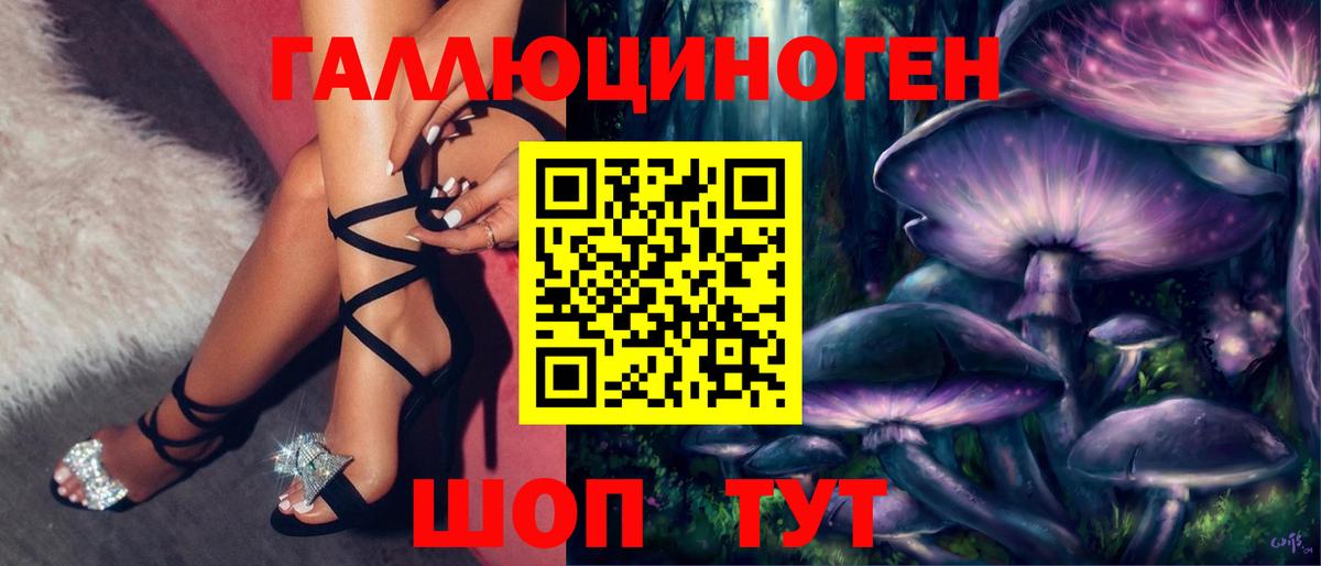 Псилоцибиновые грибы GOLDEN TEACHER  продажа наркотиков  Волоколамск  Вход с VPN 